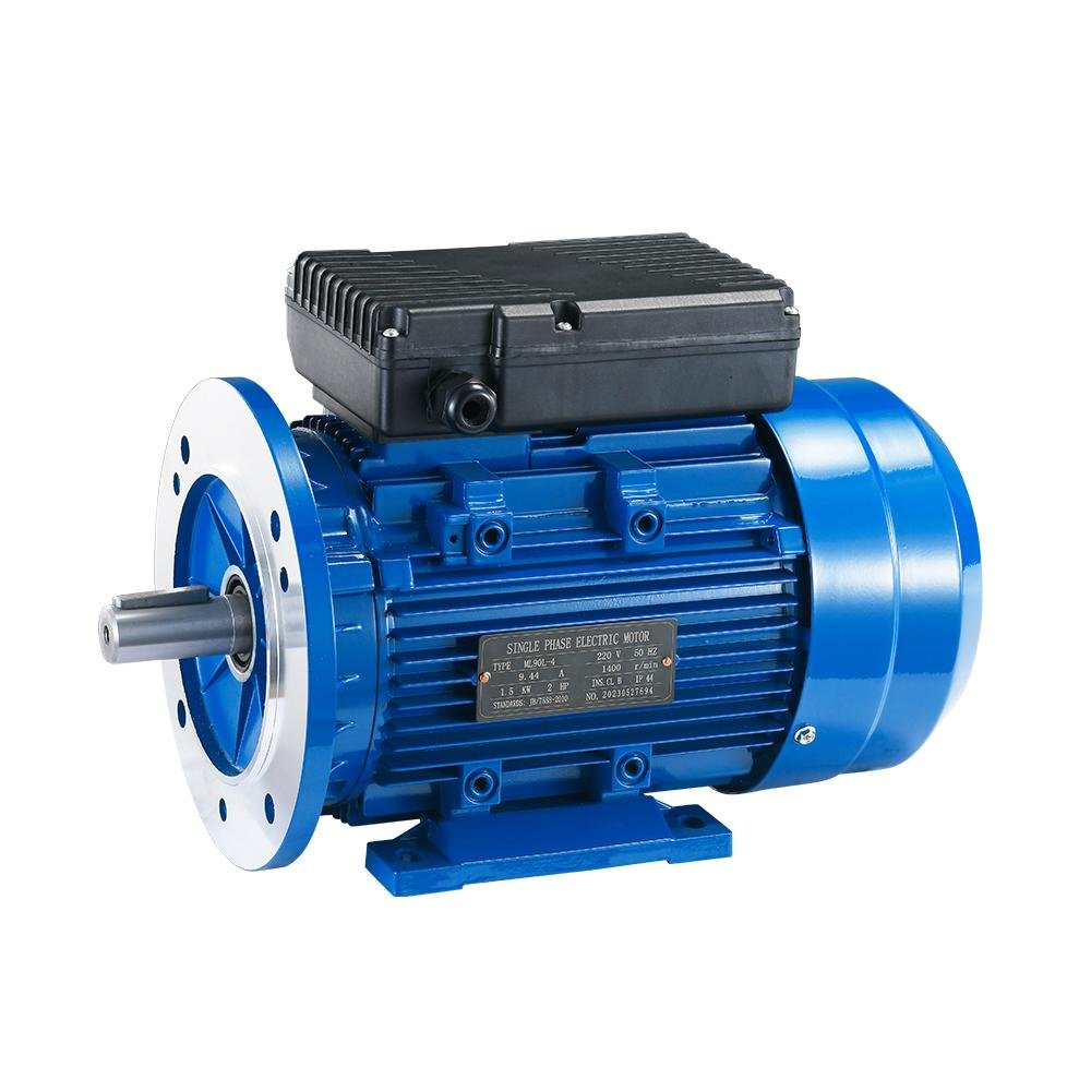 MY/ML SERIES SINGLE-PHASE CAPACITOR-RUN ASYNCHRONOUS MOTORS WITH ALUMINUM HOUSING 2-1